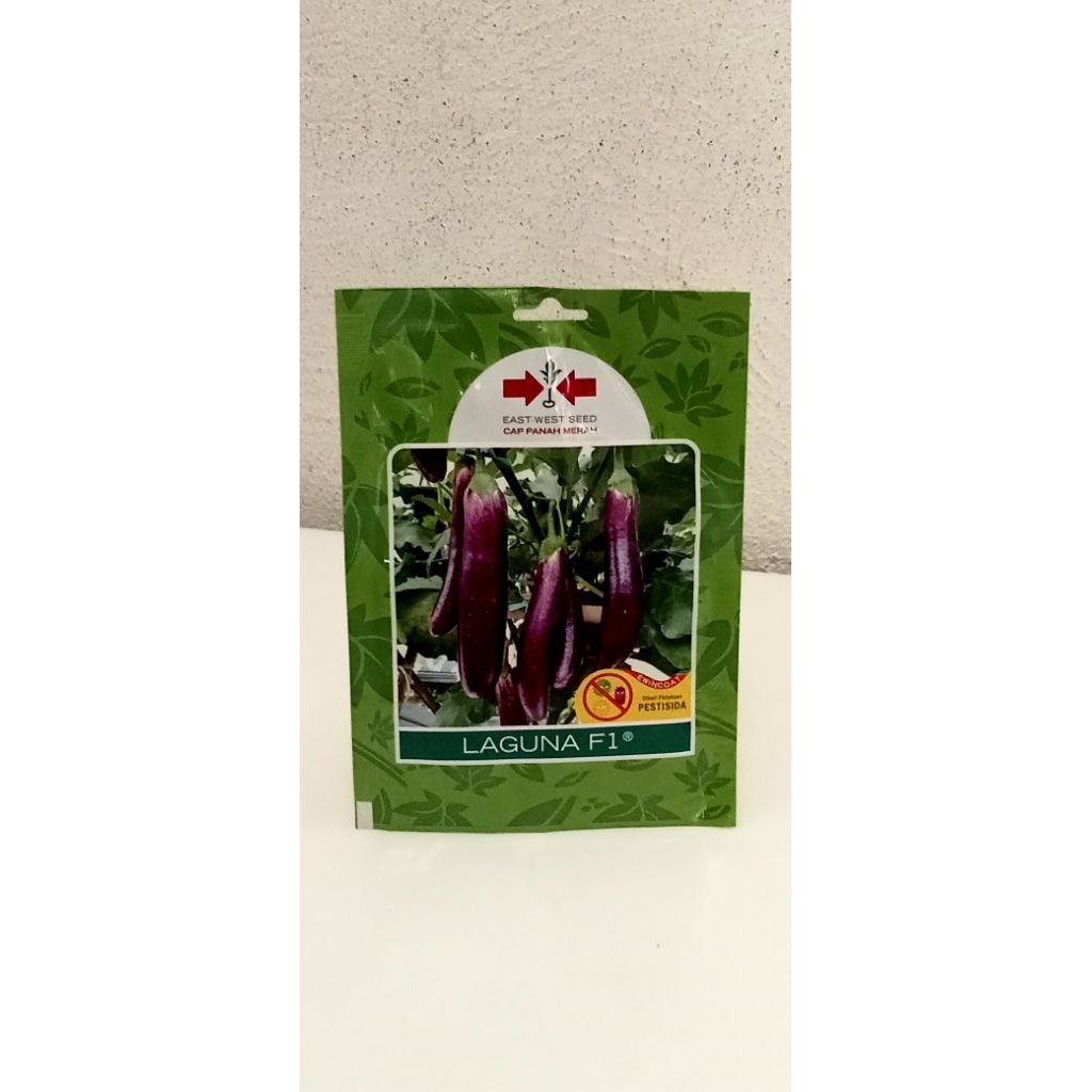 Terong LAGUNA F1