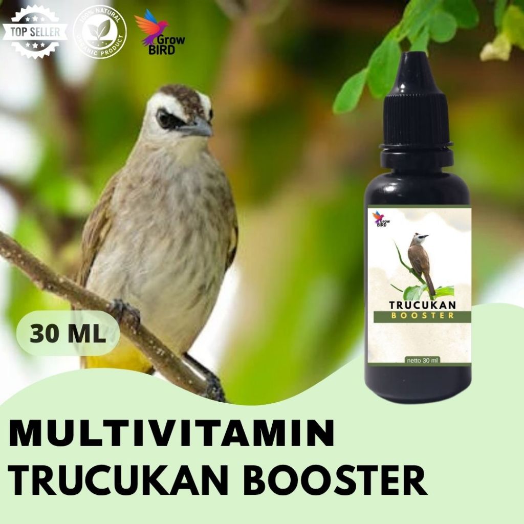 Vitamin Burung Gacor 30 ml Untuk Trucukan Vitamin Penggacor Burung Rekomendasi Burung Kicau