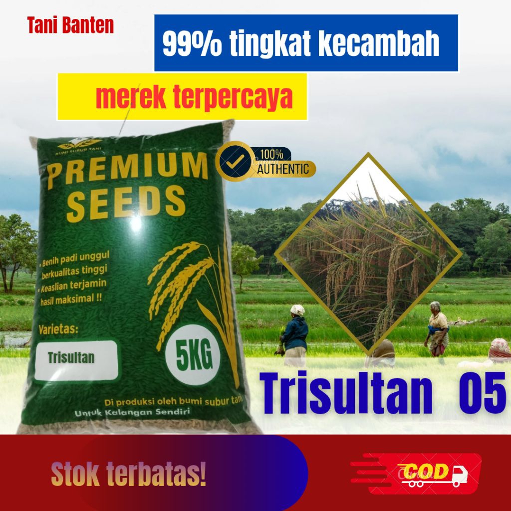 benih padi unggul trisultan bibit padi berkualitas premium 5kg