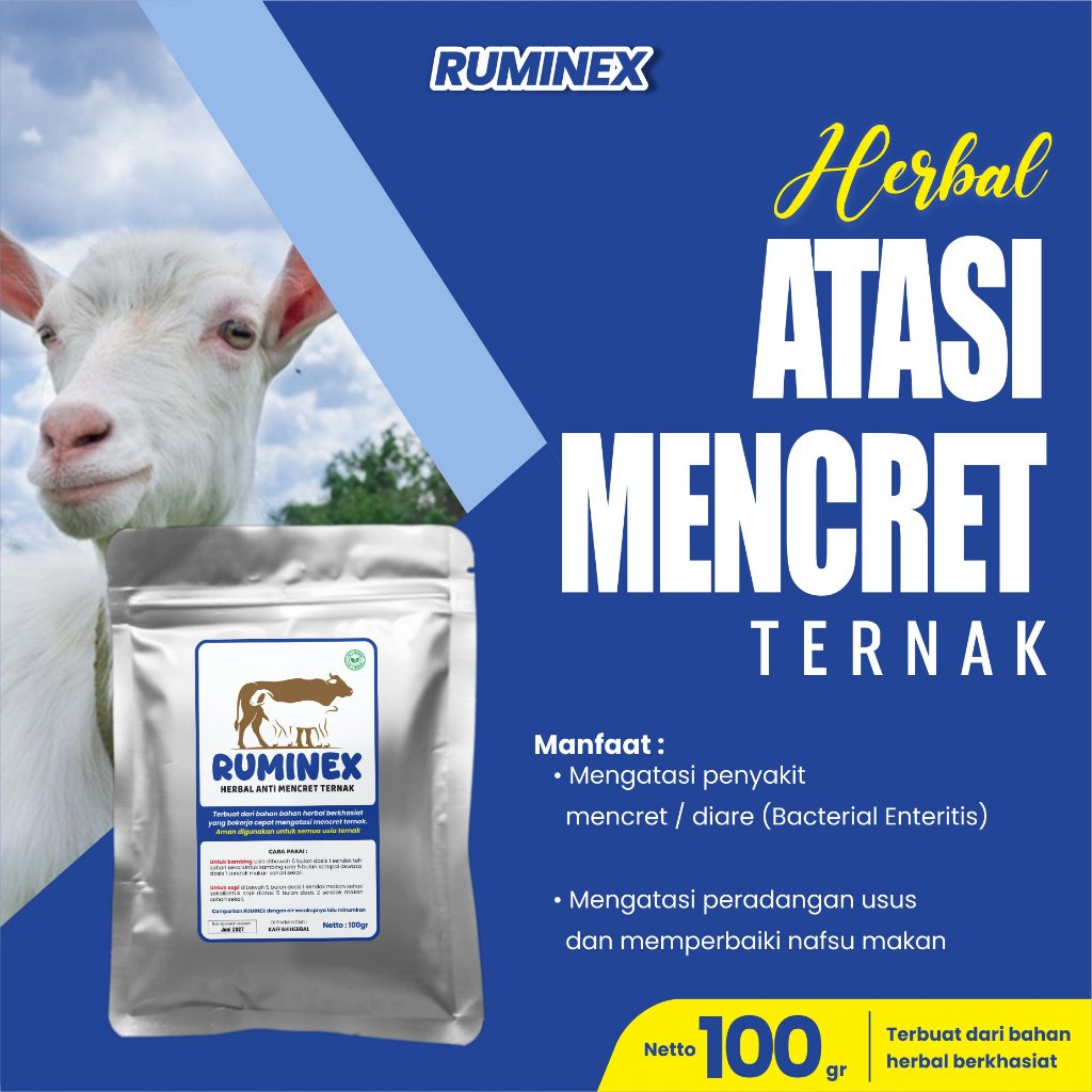 Obat Mencret Diare Kambing Sapi Domba Cempe Hewan Ternak Ruminex