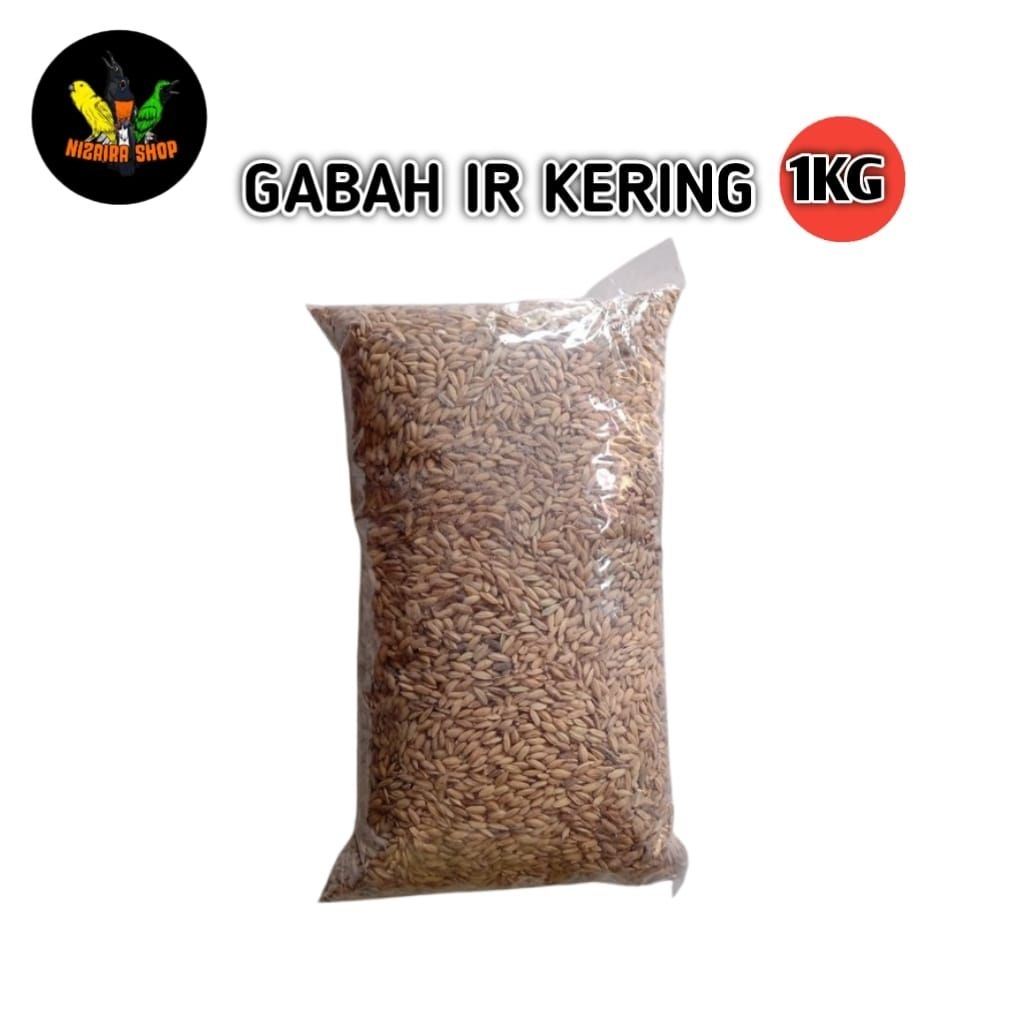 Gabah IR KERING BERKUALITAS Pakan Ayam Bangkok - 1kg