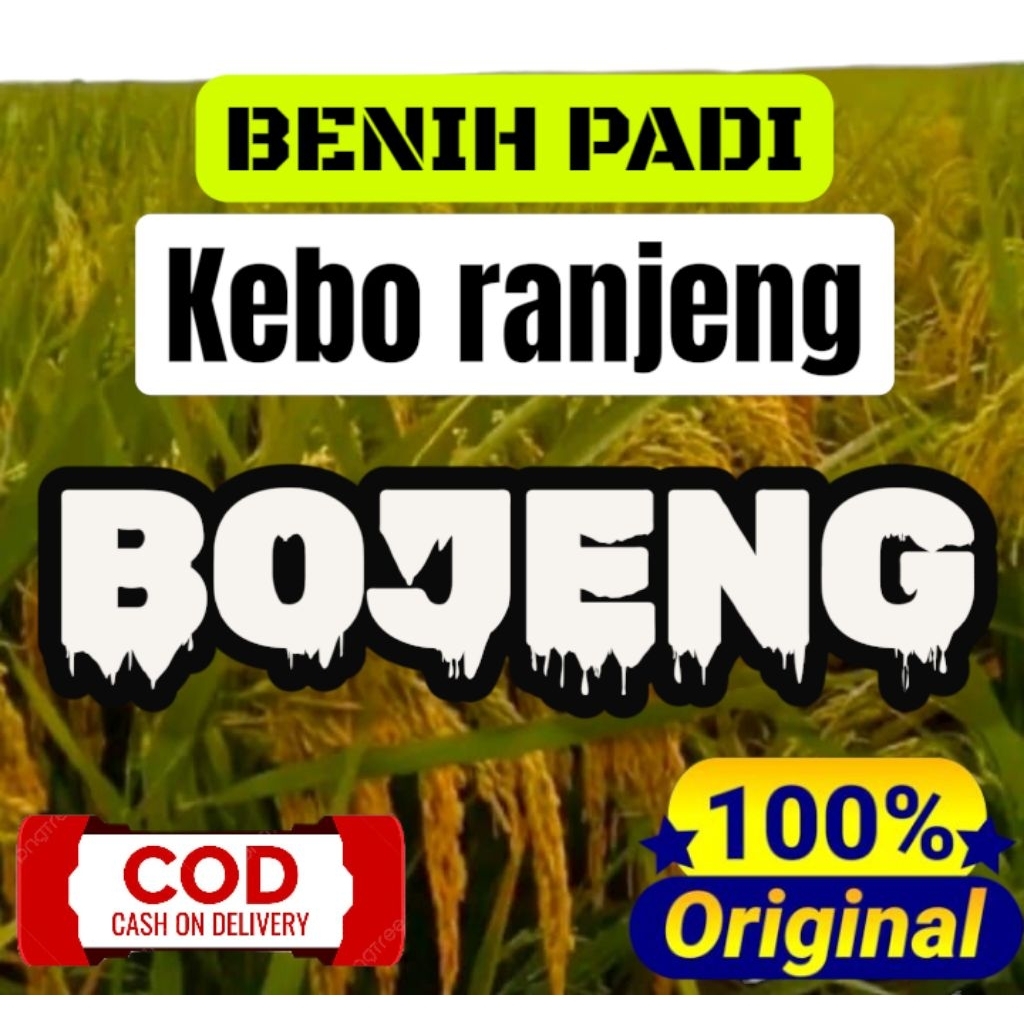 BENIH PADI ( kebo ranjeng ) BOJENG BERKUALITAS ORIGINAL KEMASAN 1KG
