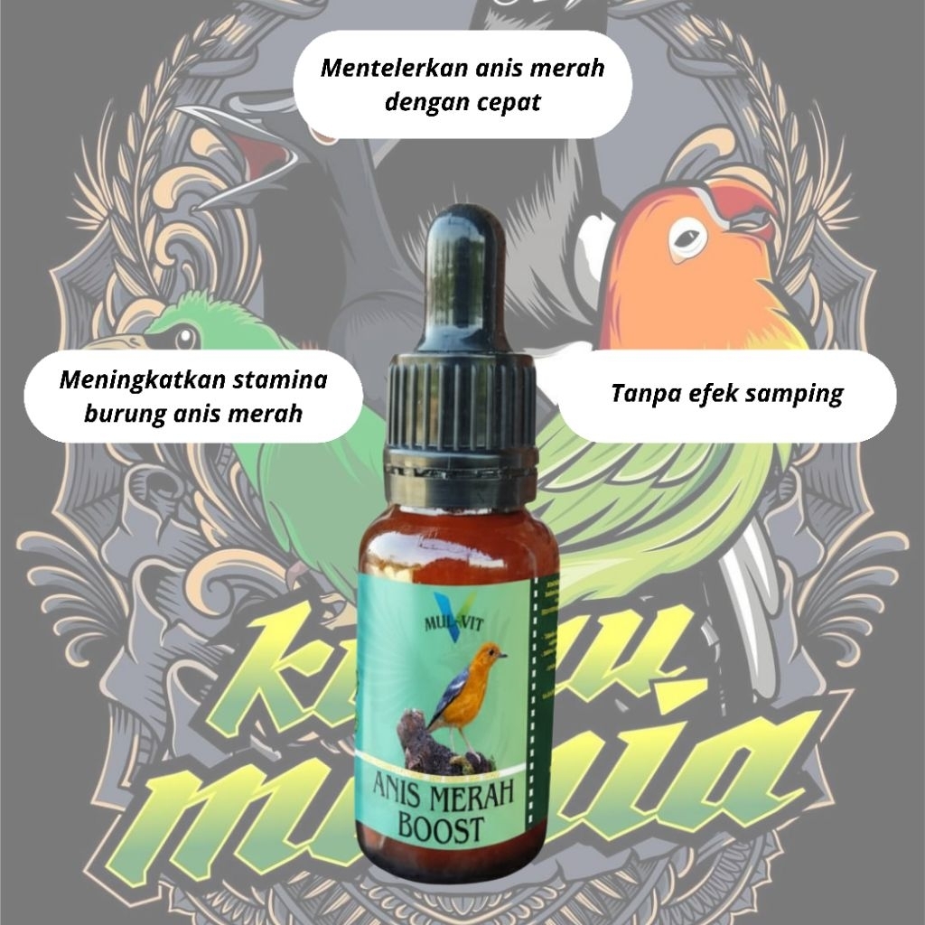 SUPLEMEN BURUNG ANIS MERAH BOOST MEMPERCEPAT TELER ANIS MERAH