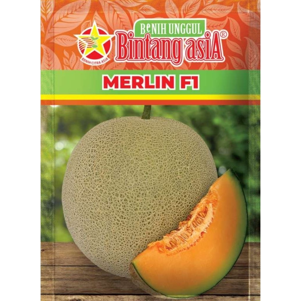 MELON MERLIN F1 20 GRAM
