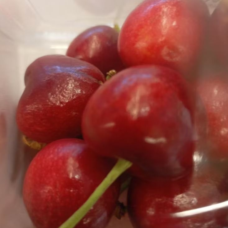 Buah Cherry Segar Ceri Fresh 250 gram