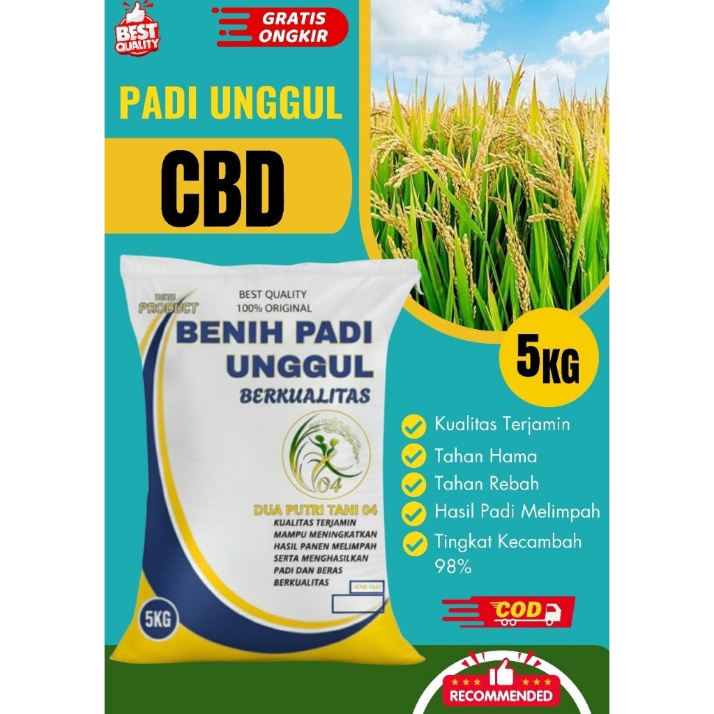 Benih padi unggul CBD 04 kemasan 5Kg