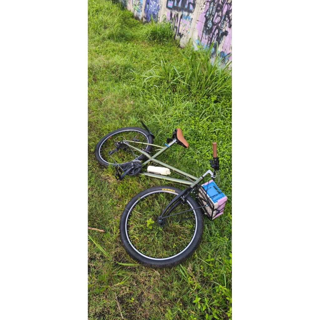 Commuter bike lady spesial edition frame