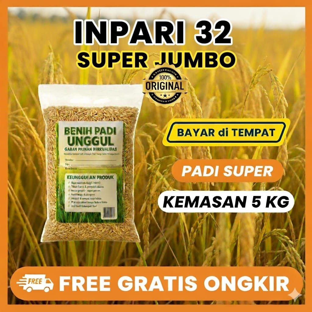 BENIH BIBIT PADI UNGGUL 5KG INPARI 32 SUPER JUMBO