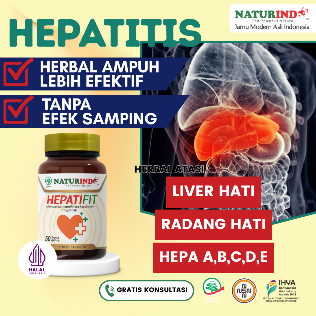 Obat Gangguan Liver Radang Hati Alergi Panas Dingin Herbal Hepatifit Naturindo