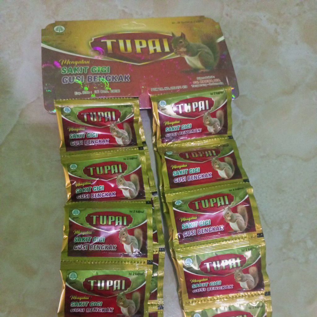 tupai kapsul sakit gigi