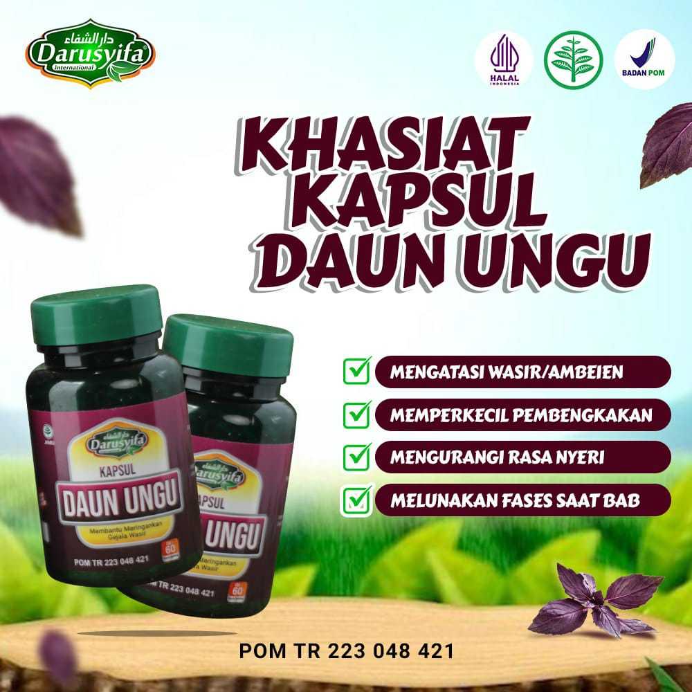 Kapsul Daun Ungu Darusyifa - Herbal Wasir - Herbal Ambien - Kapsul Daun Ungu