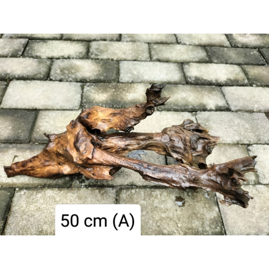 kayu aquascape hardscape. media anggrek.