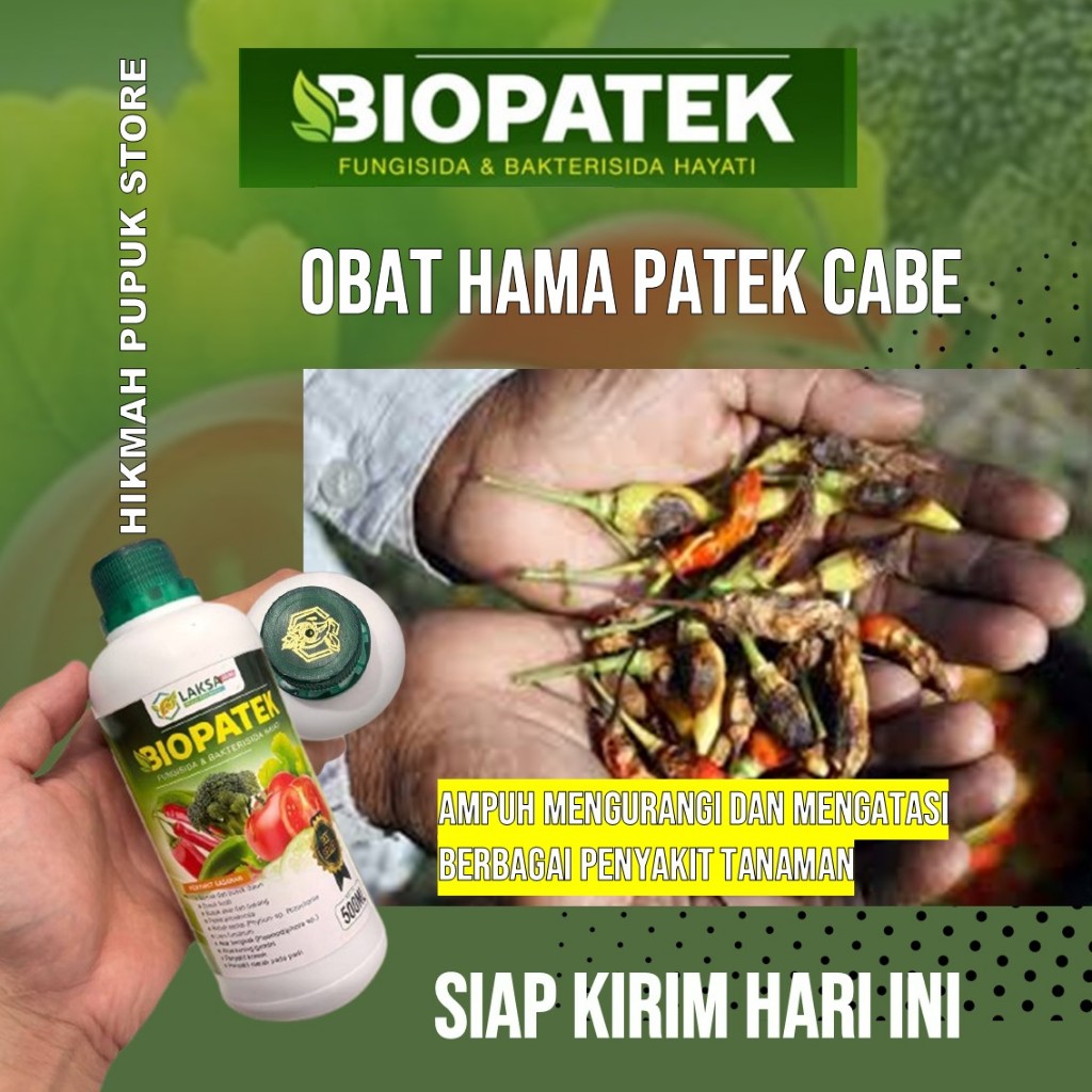 OBAT HAMA PATEK CABE ALAMI > OBAT PATEK CABE AMPUH > OBAT PATEK CABE ORGANIK - NOPATEK ASLI
