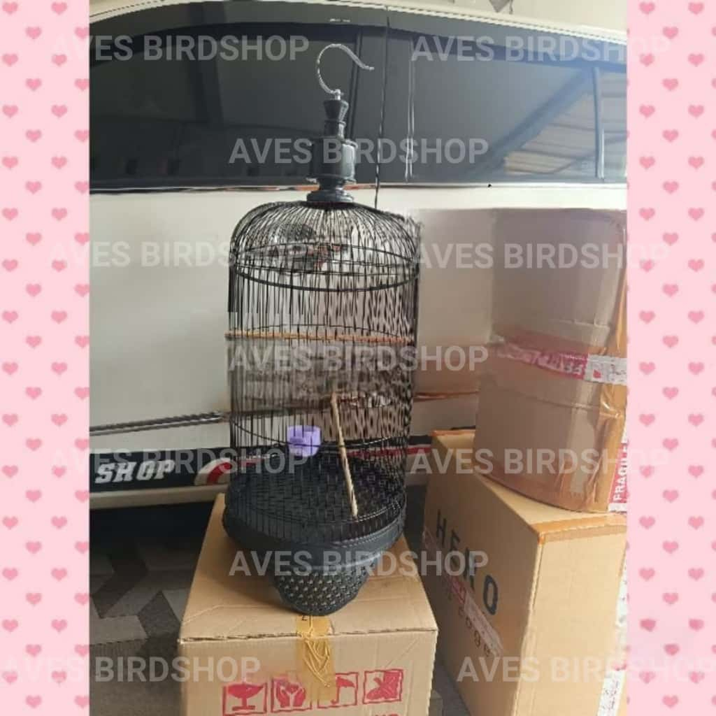 SANGKAR LOVEBIRD 1 DUS ISI 10 HITAM SANGKAR BESI LOVE BIRD UKURAN STANDART grosir sangkar lb