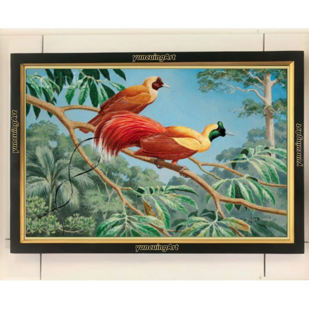 hiasan dinding lukisan cetak burung cendrawasih landscape plus bingkai ukuran 65×45