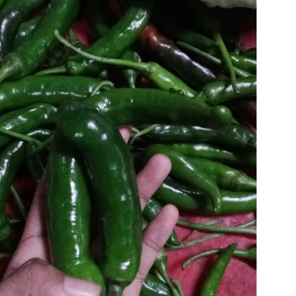 Cabe hijau Segar Pasar Induk 100gr