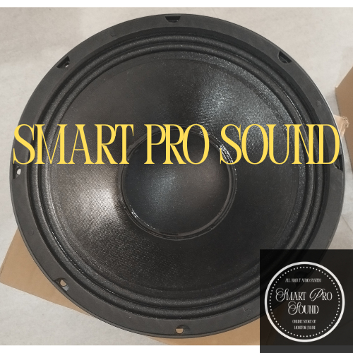 SPEAKER ASHLEY LF10V300 LF 10V300 LF 10V 300 10 inch