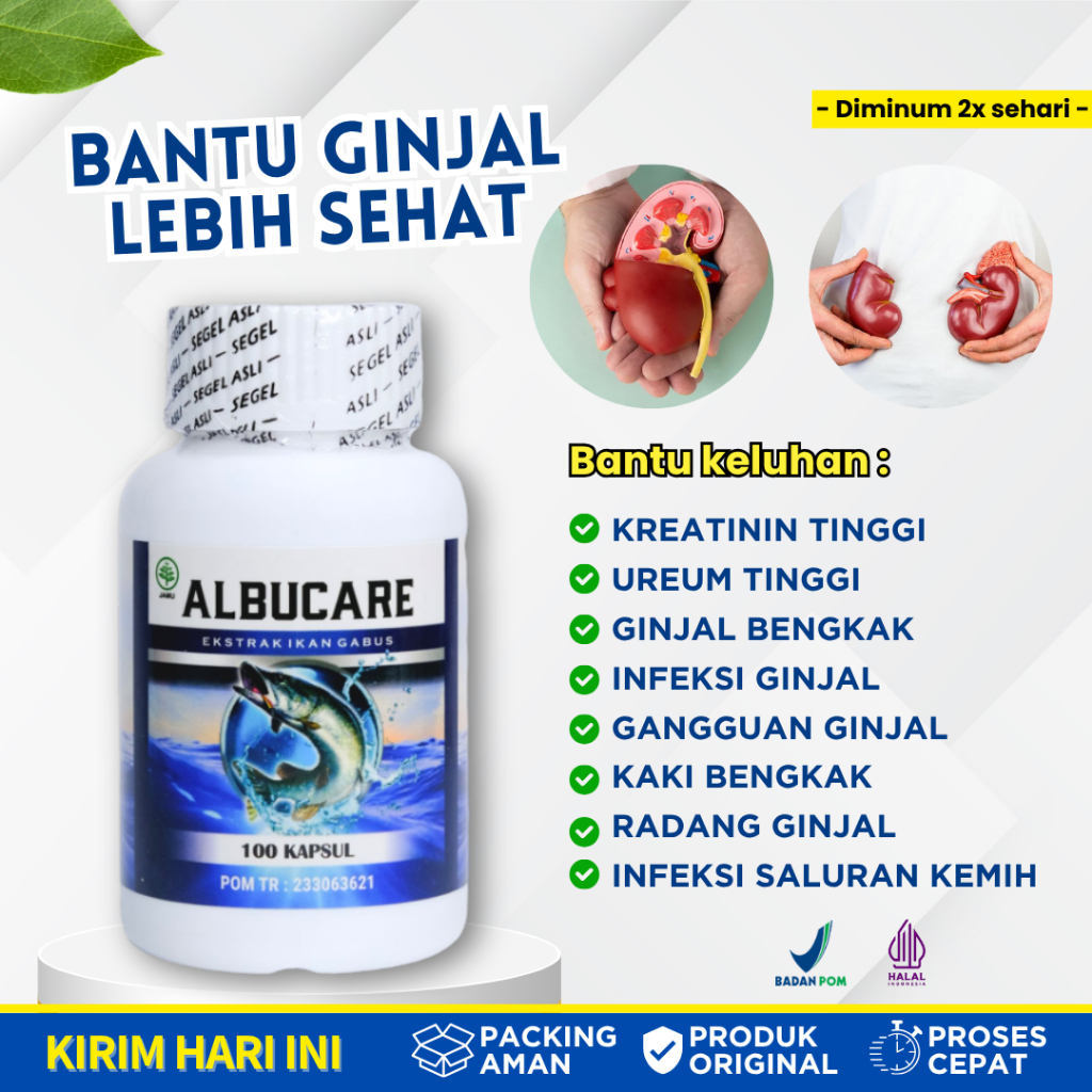 ALBUCARE Kapsul Ikan Gabus Untuk Mengatasi Kreatinin Ureum Tinggi Dan Ginjal Bengkak
