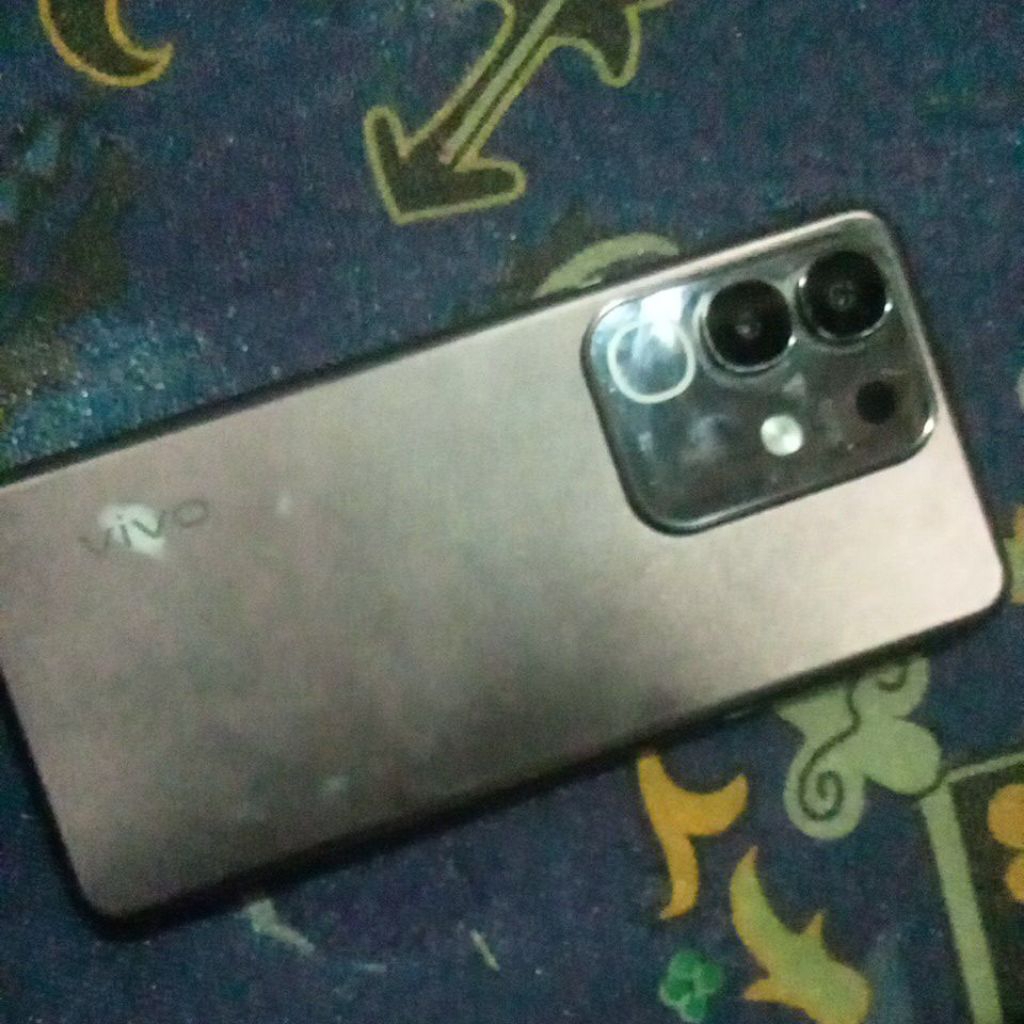 Vivo y29
