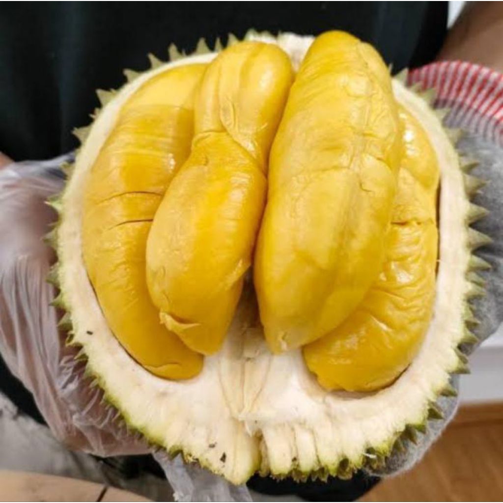 DURIAN MONTONG KUPAS 1KG //BALI