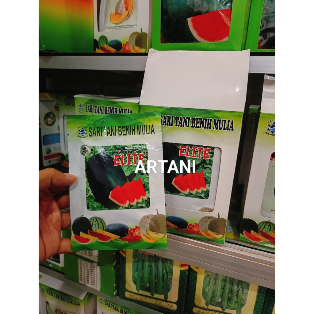 Benih Bibit Semangka Non biji Elite F1, Perawatan Mudah, tipe Lonjong, Oval, daging merah, Berbobot 