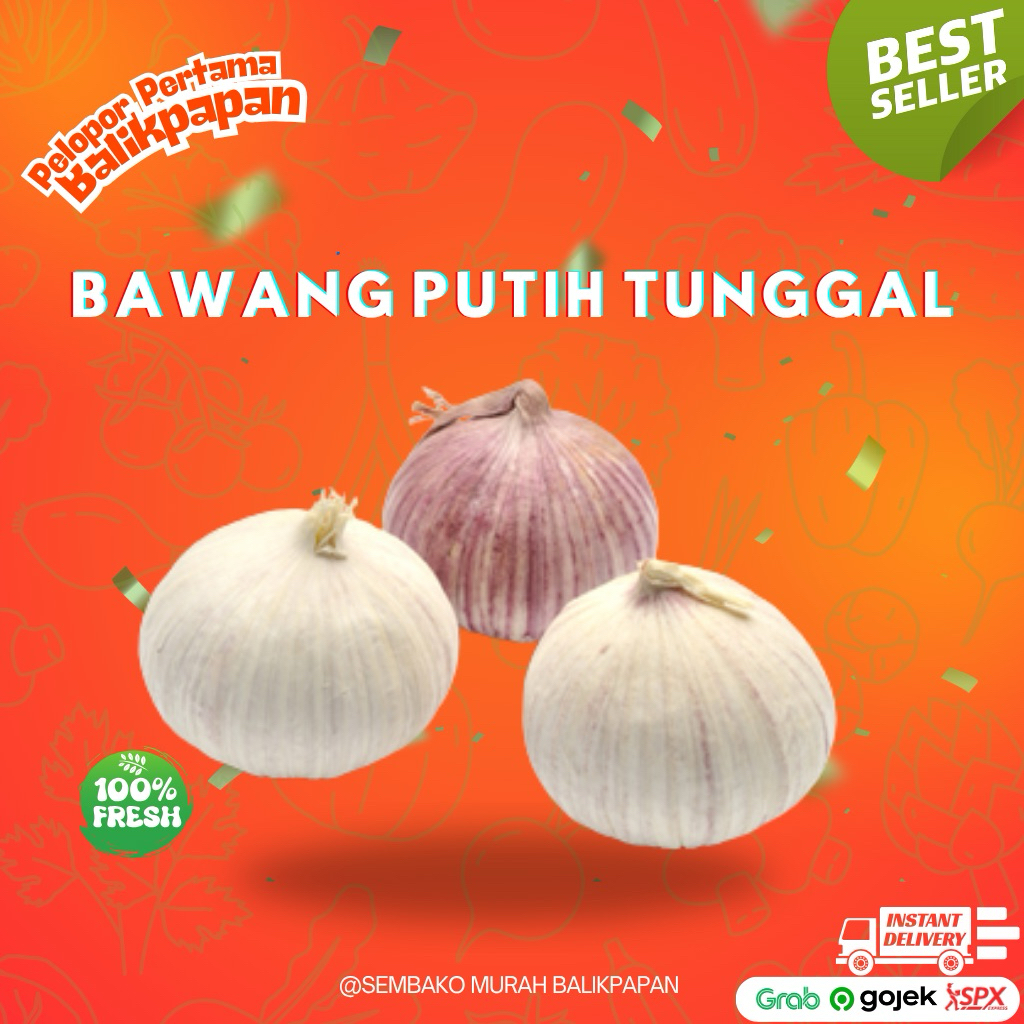 Bawang Putih Tunggal per Buah