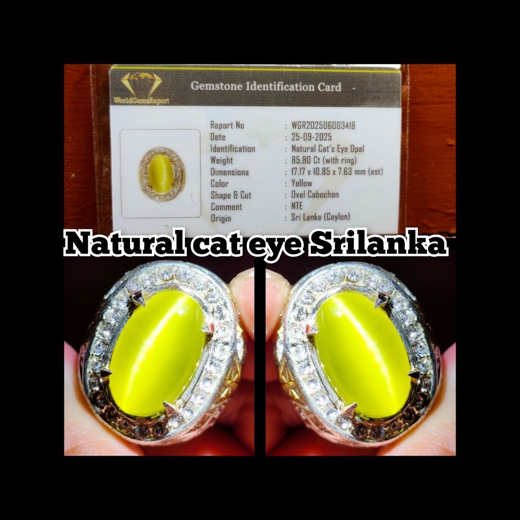 natural batu permata cat eye Ceylon kelas kontes