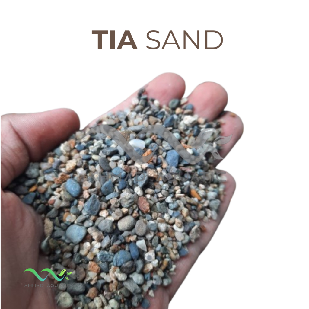 Pasir Aquarium Pasir Tia Sand Aquascape