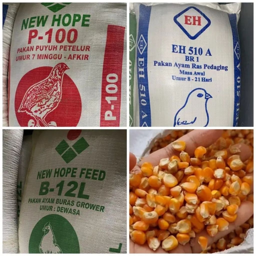 pakan ayam bebek puyuh petelur