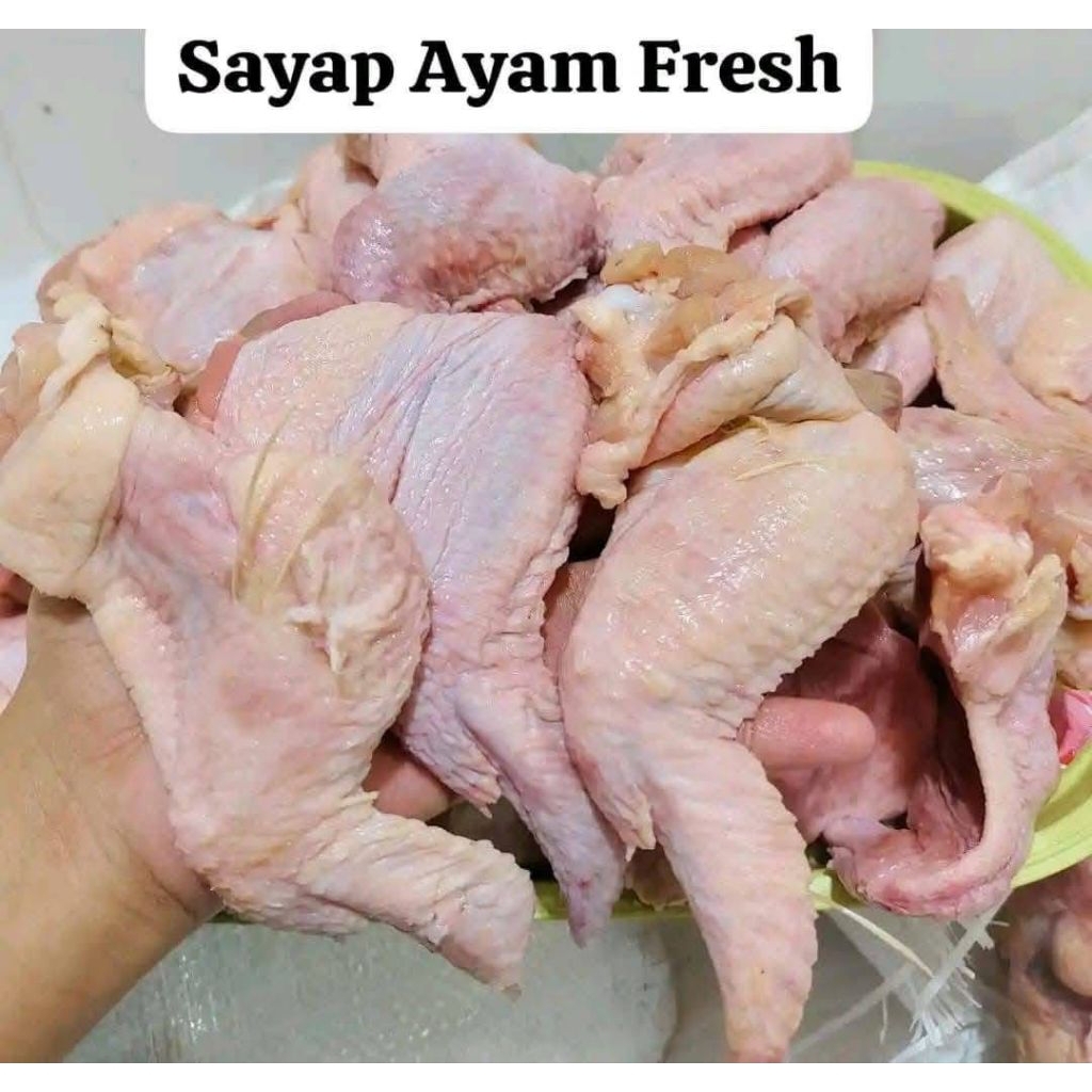 sayap ayam besar