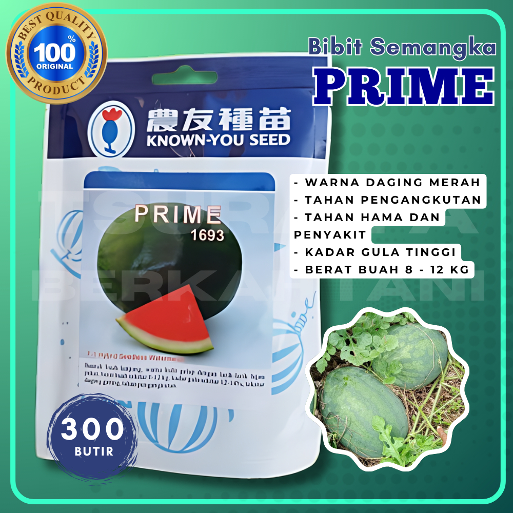 ORIGINAL BENIH SEMANGKA PRIME NON BIJI TERBAIK YANG TIADA TANDING UNTUK PETANI SEMANGKA INDONESIA