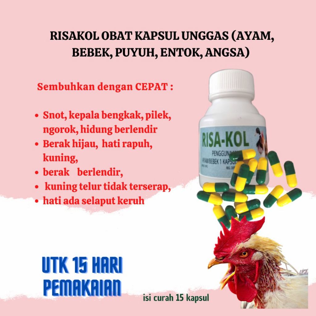 OBAT SNOT PILEK NGOROK BERAK HIJAU KEPALA BENGKAK AYAM BEBEK RISAKOL