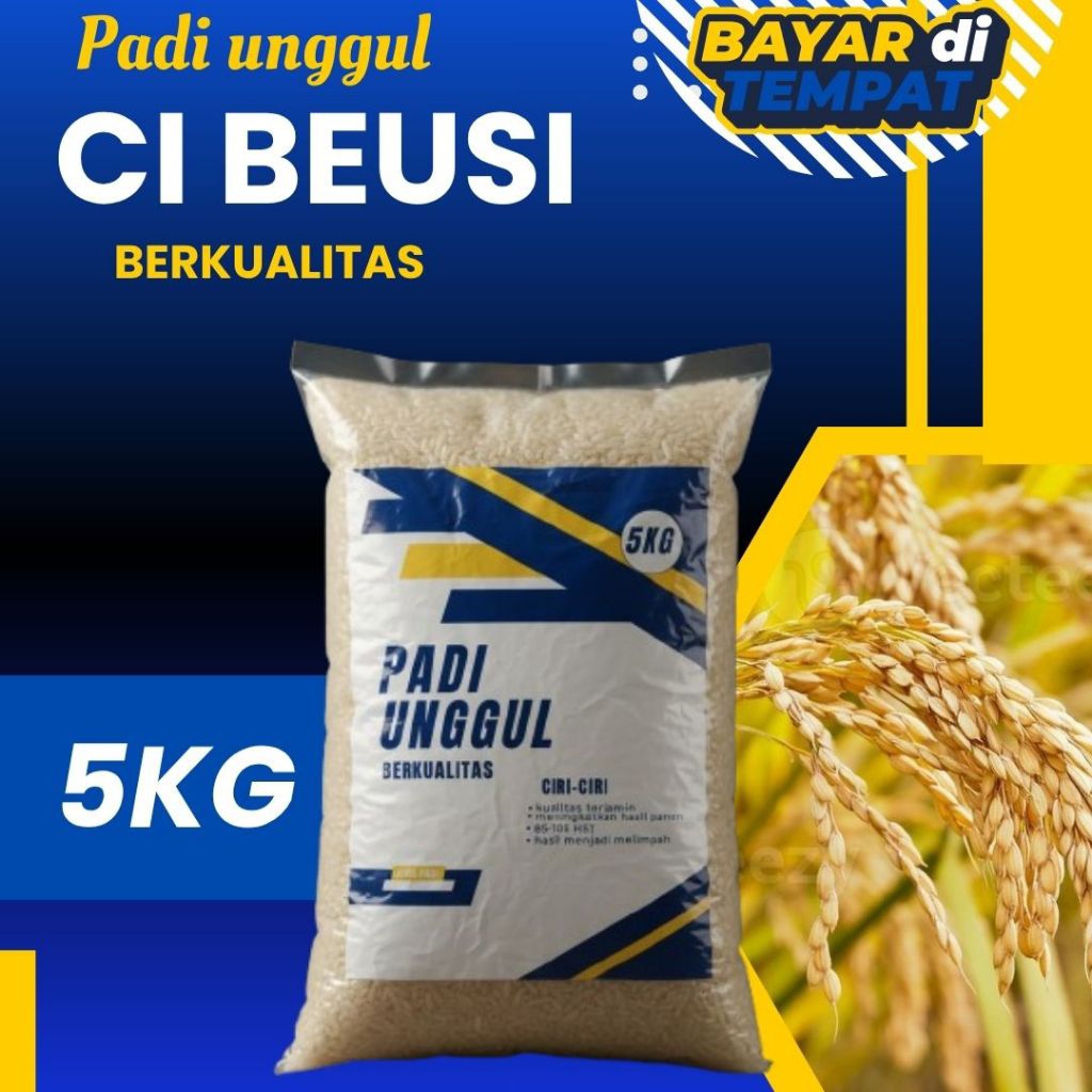 benih padi ci beusi 5kg kualitas mantap