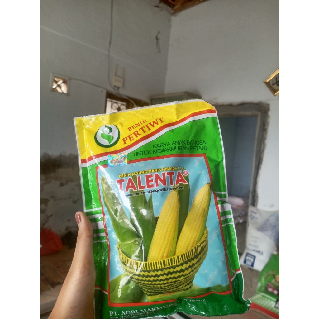 Benih jagung manis Talenta pertiwi