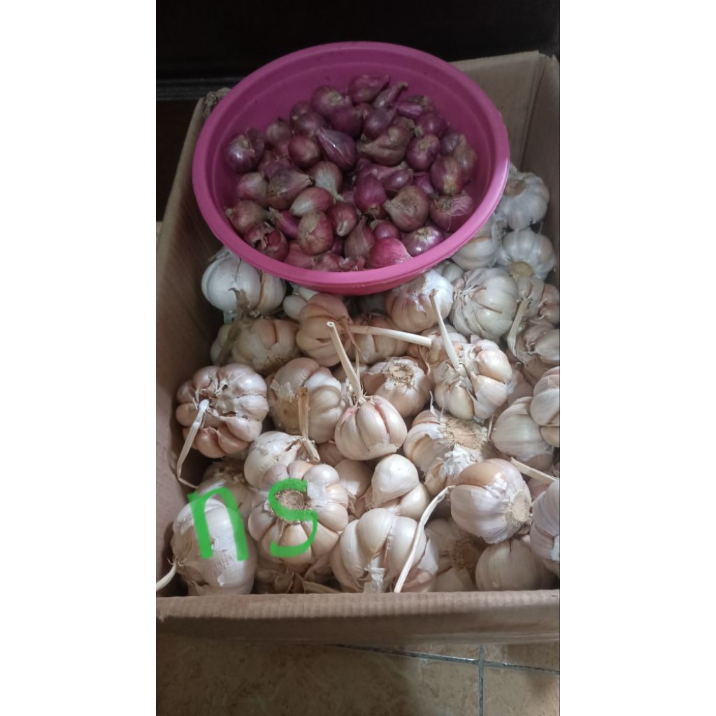 bawang merah mix bawang putih sincu 1 kg
