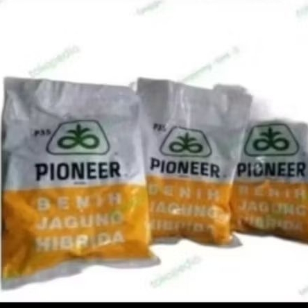 BENIH JAGUNG HIBRIDA PIONEER P35 KEMASAN 1KG