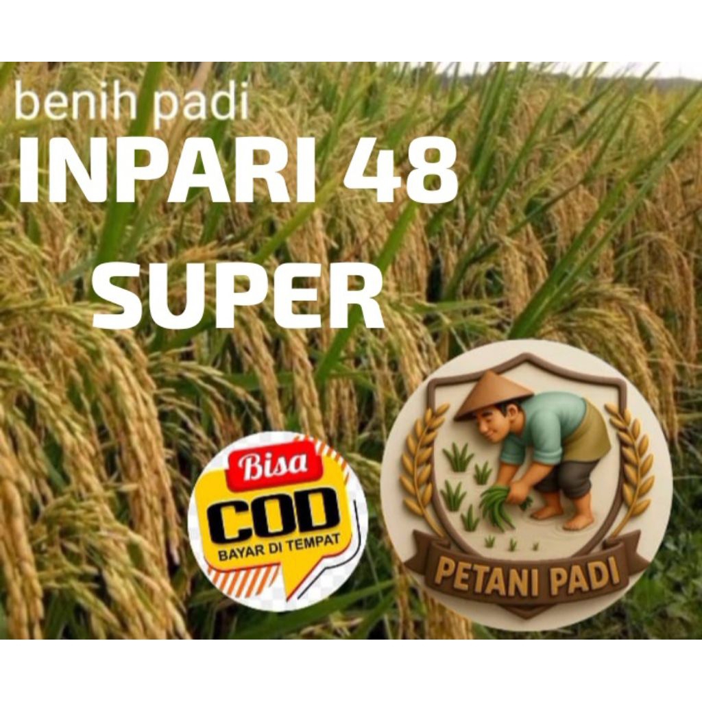 BENIH PADI INPARI 48 SUPER KEMASAN 5KG