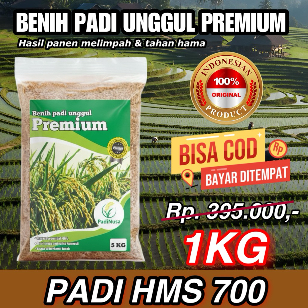 PadiNusa - Benih padi Unggul Hms 700 kemasan  1kg padi Unggul HMS 700 Kemasan 1Kg Berkualitas Super