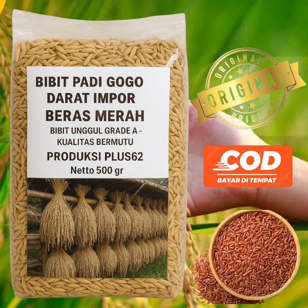 Bibit Padi Gogo Darat Unggul - Beras Merah Premium Impor Malesya