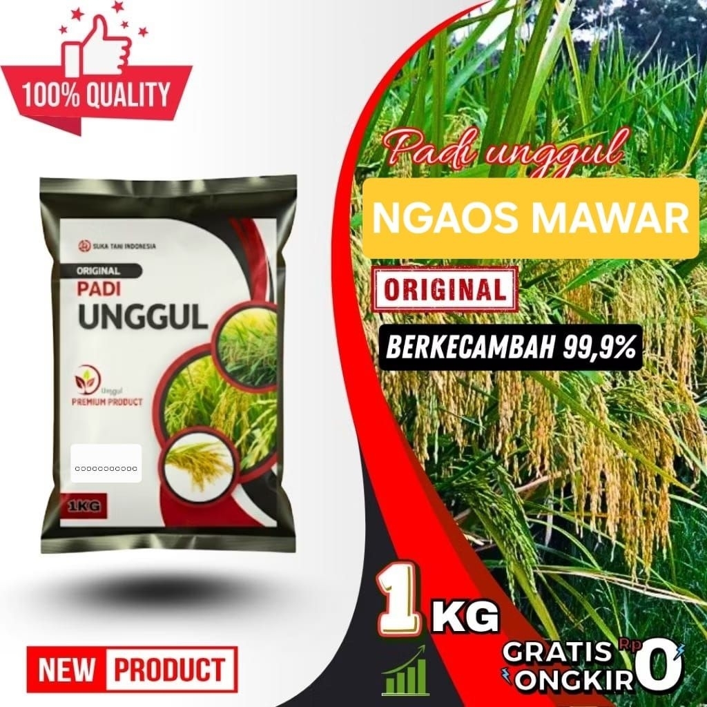 Benih padi unggul ngaos mawar original kemasan 1-5kg premium