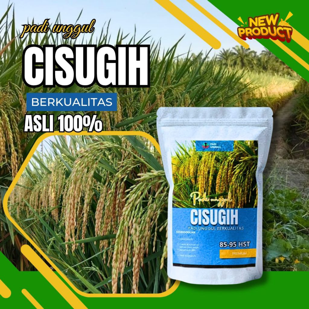 Benih padi bibit padi Ciherang sugih asli 5kg