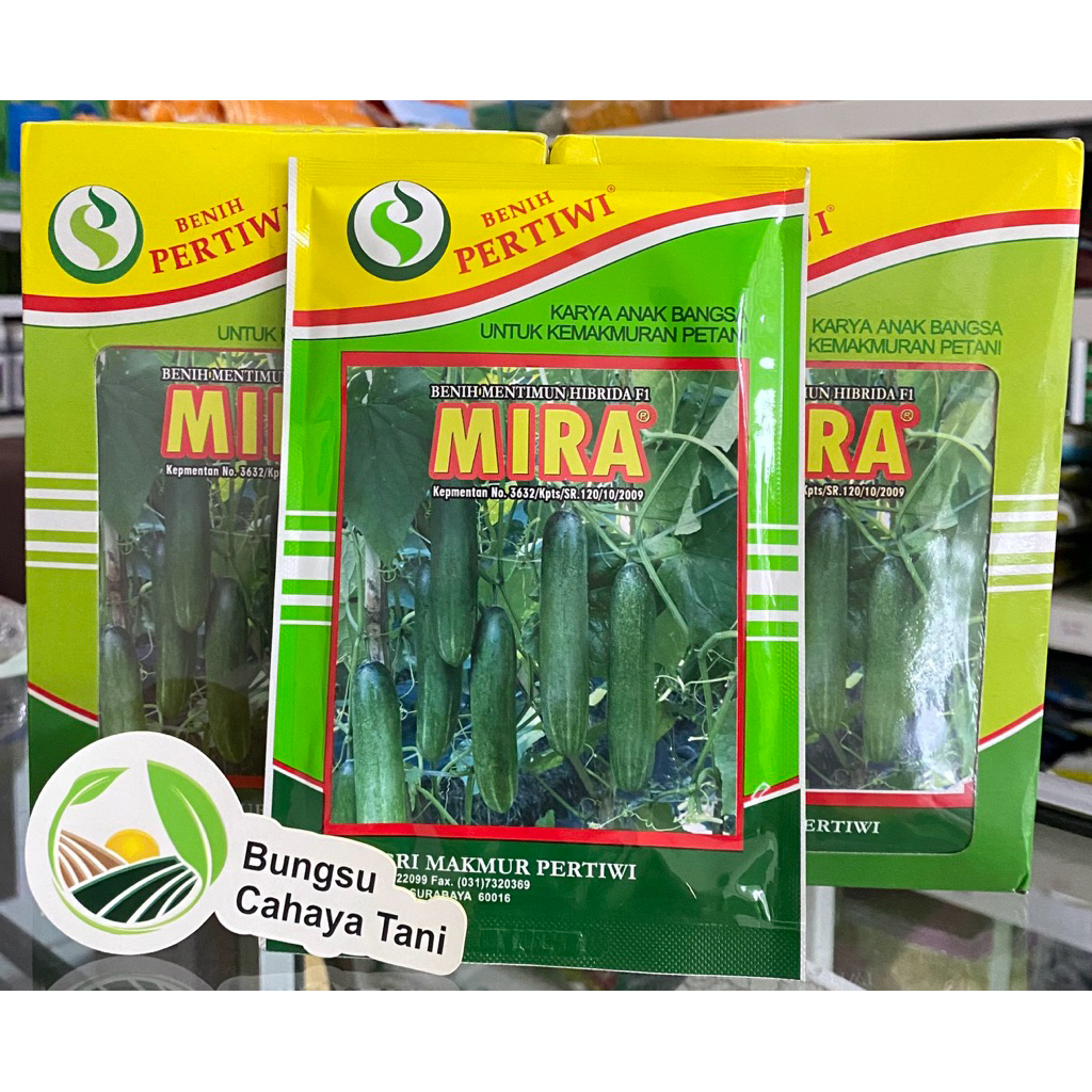 Bibit timun MIRA F1 25gr Pertiwi