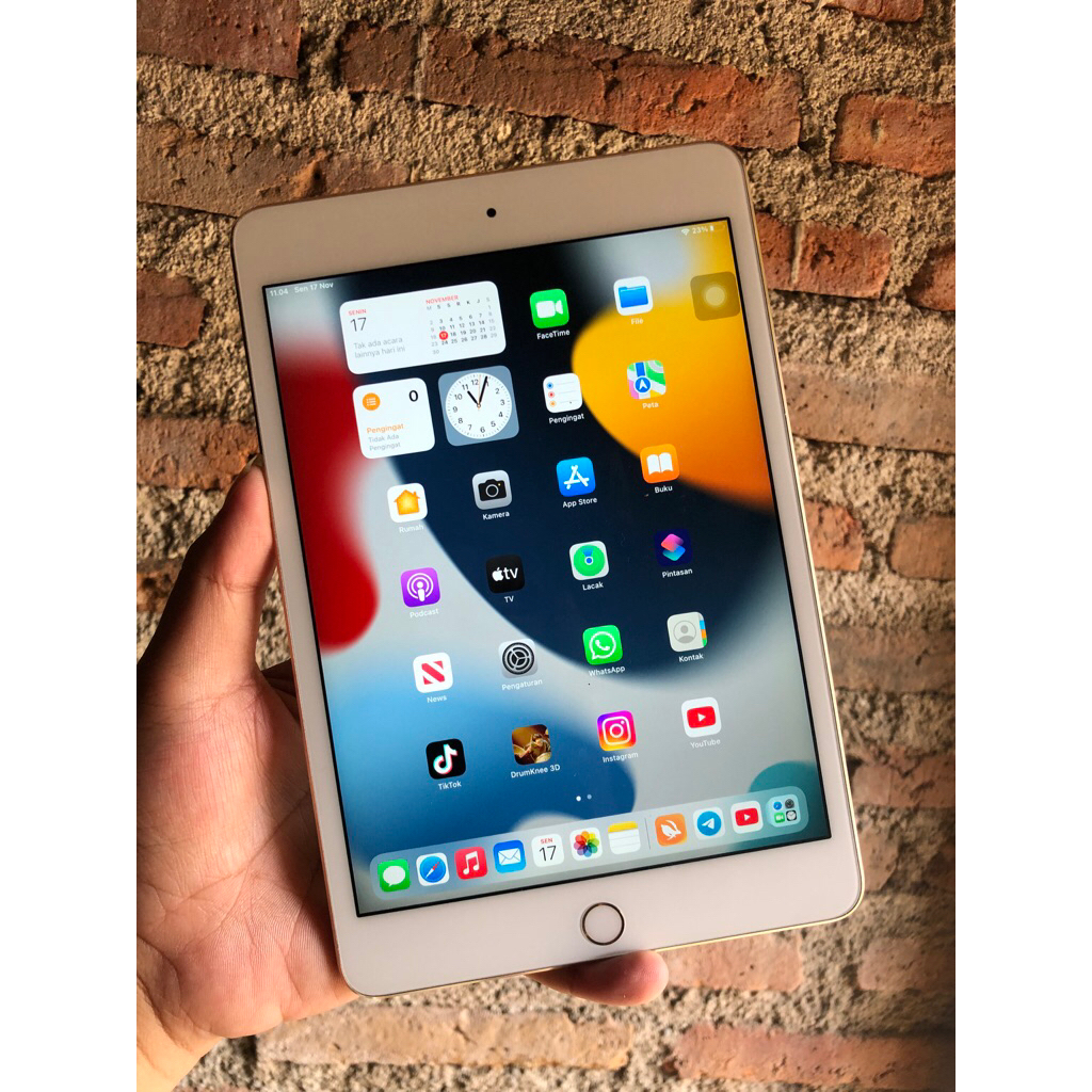 iPad mini 4 128gb bypass