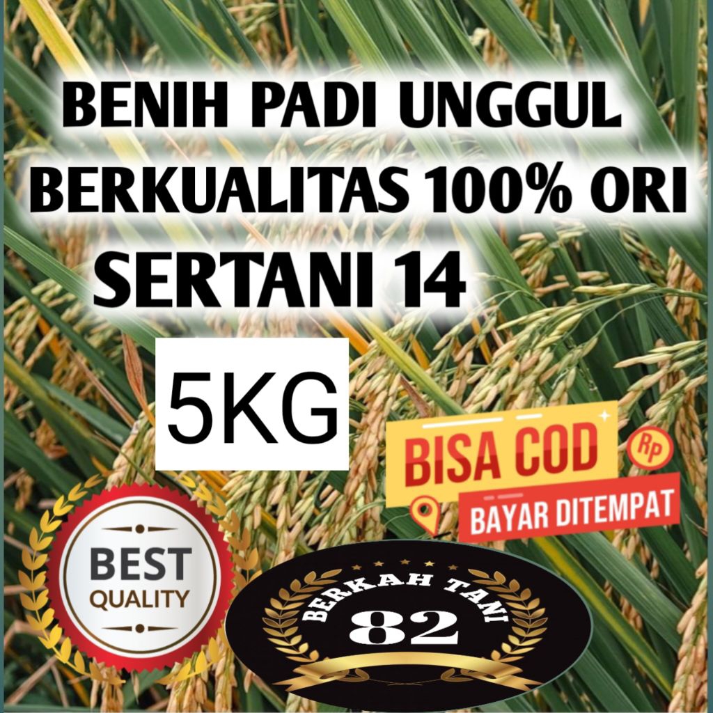 BENIH PADI SERTANI 14 BENIH PADI UNGGUL GENJAH KEMASAN 5KG