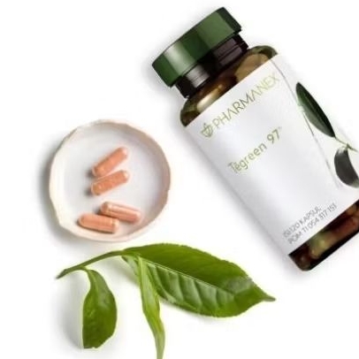 tegreen97 isi 120kapsul original