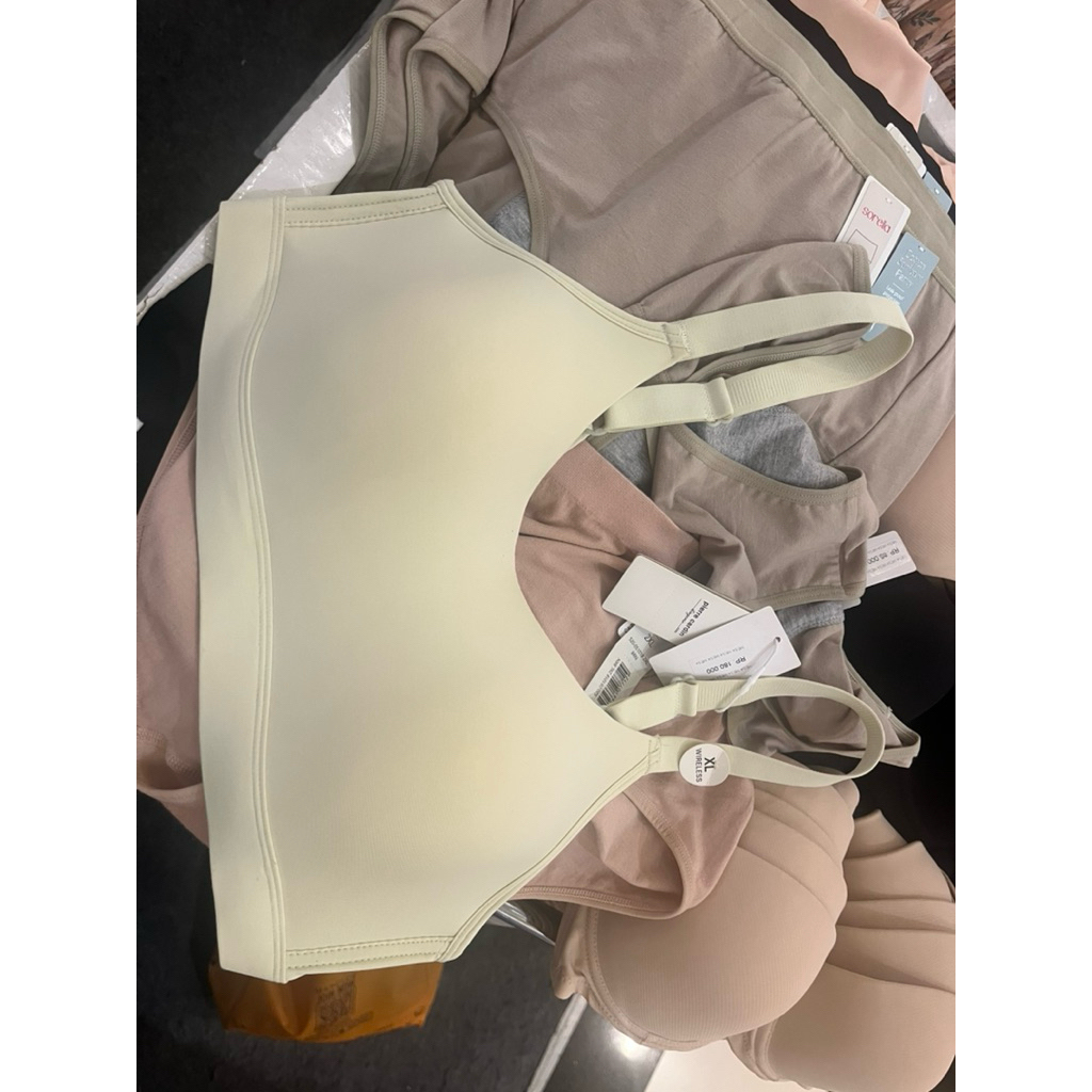 bra seamles wanita tanpa kawat cup b by pierre cardin