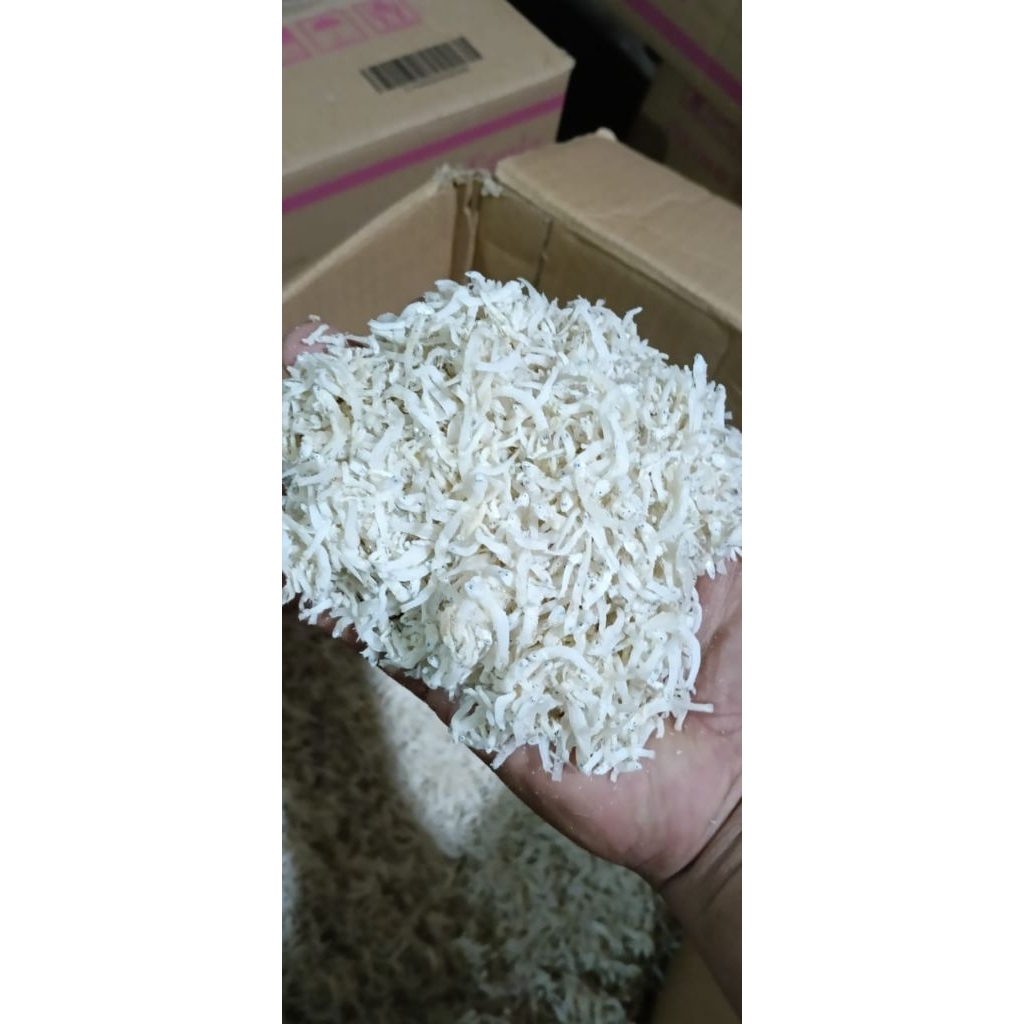 Teri nasi teri Medan teri nasi medan