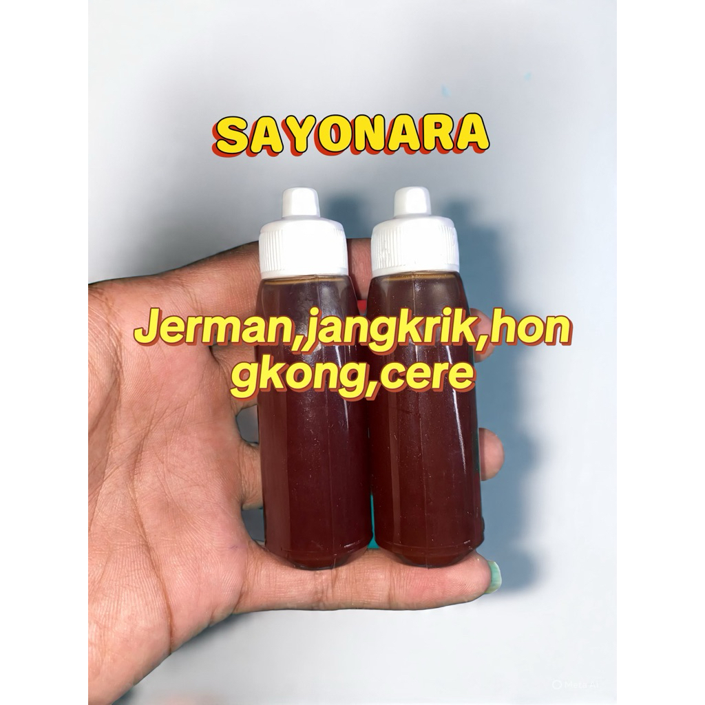 ESSEN OPLOSAN BAWAL IKAN BAWAL GACOR