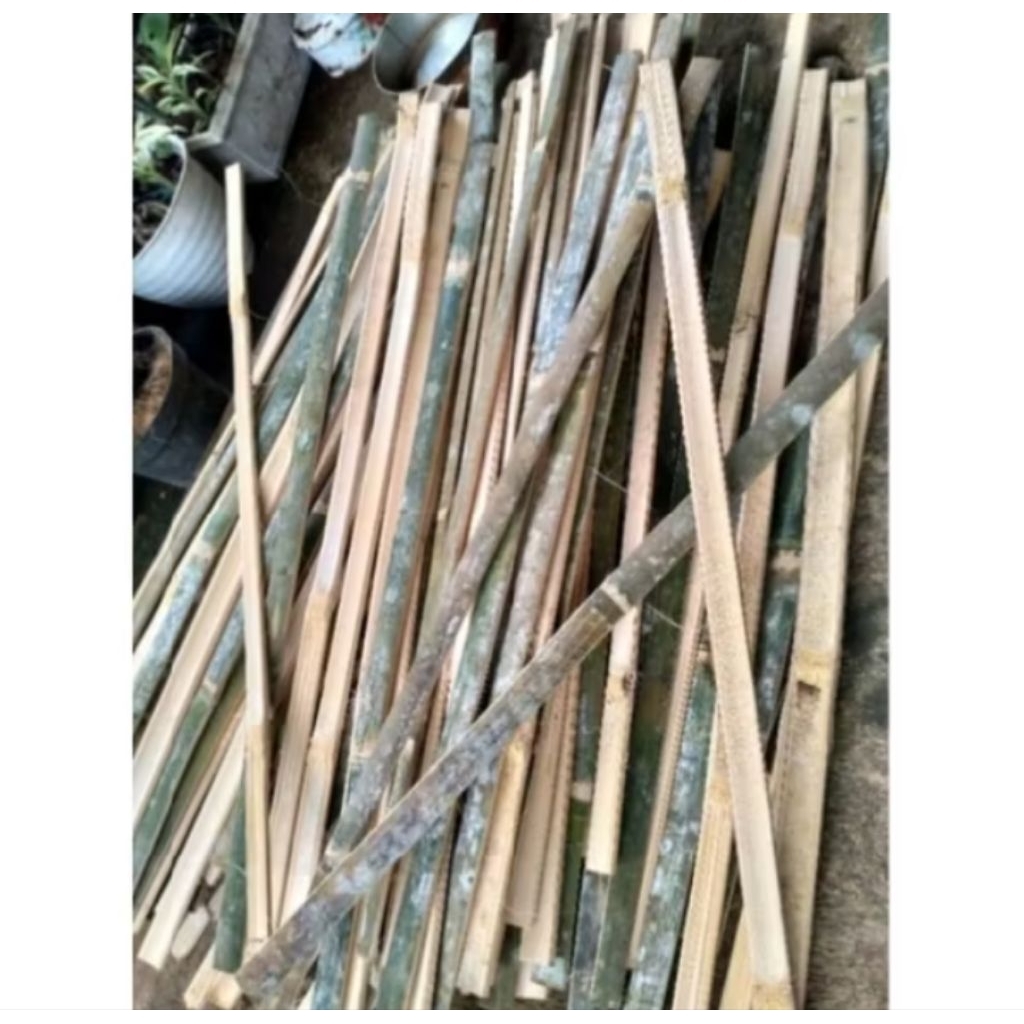 5 pcs bambu bilah panjang 1M