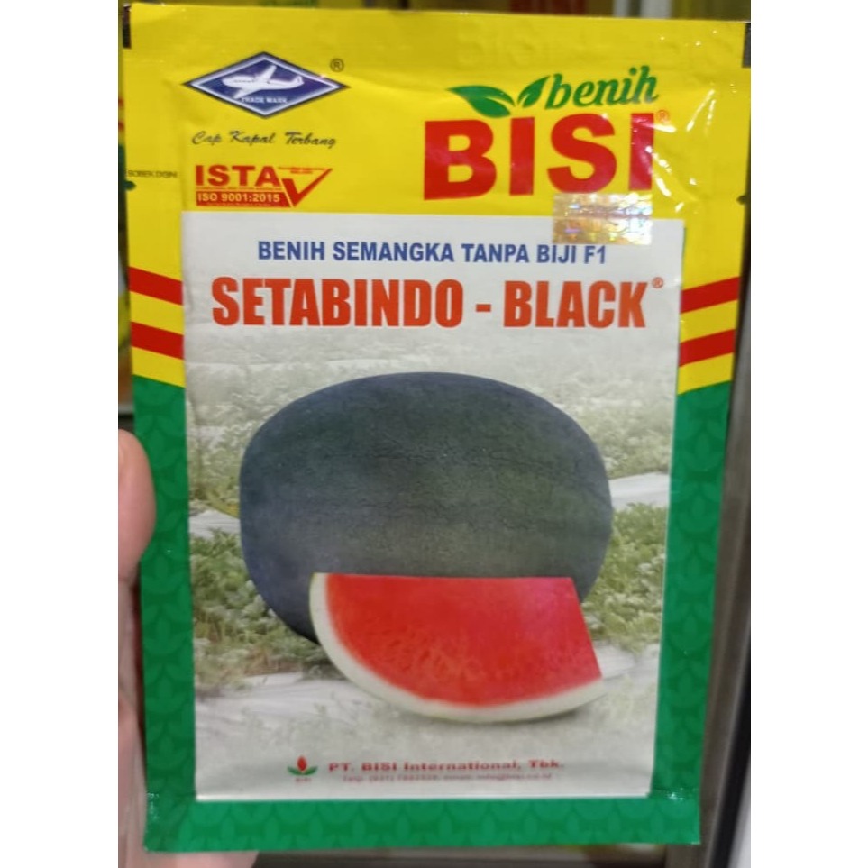 Benih Semangka Setabindo Black Non Biji Kemasan 20gr